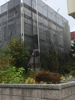 D4DB2A91-4508-42A8-B6F5-36254A449D43.jpg